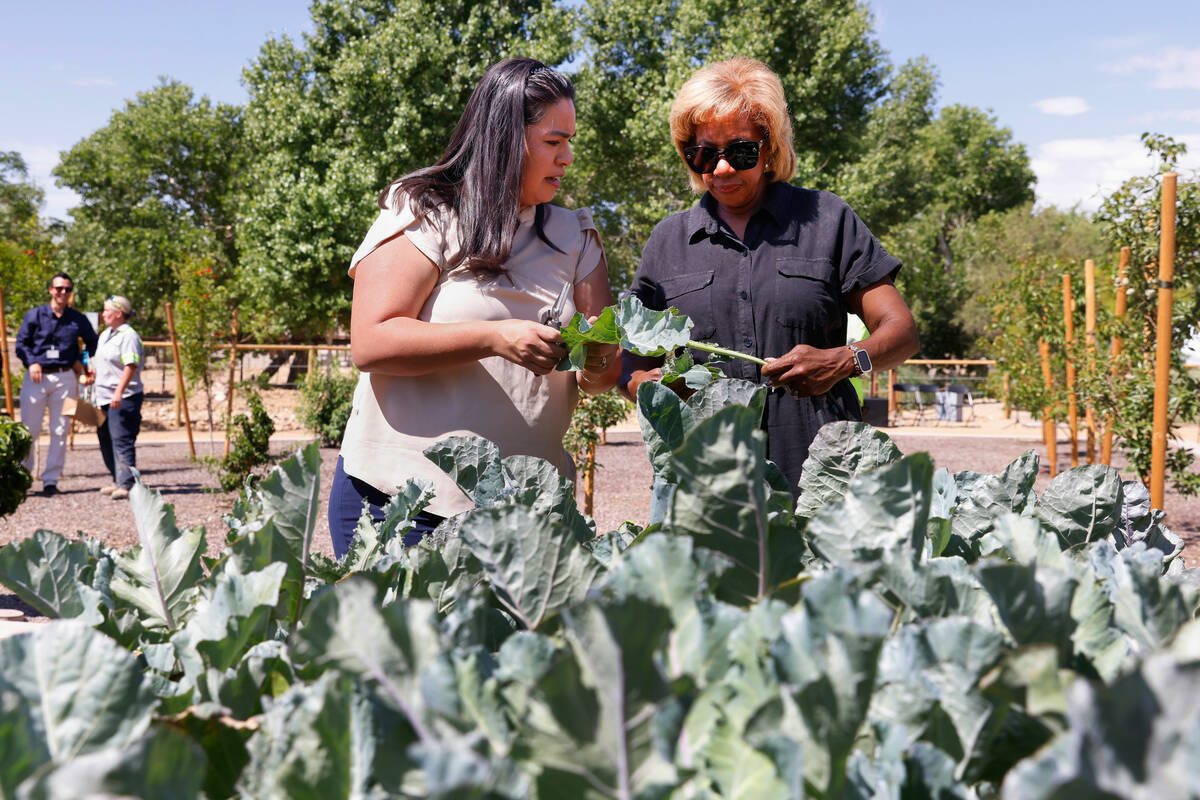 Councilwoman Ruth Garcia-Anderson, left, and North Las Vegas Mayor Pamela Goynes-Brown check ou ...