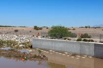 A search party consisting of personnel from the Henderson Fire Department, Henderson Police Dep ...
