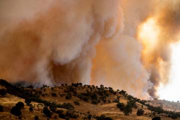 The Madre wildfire burns on Thursday, July 3, 2025, in San Luis Obispo County, Calif. (AP Photo ...